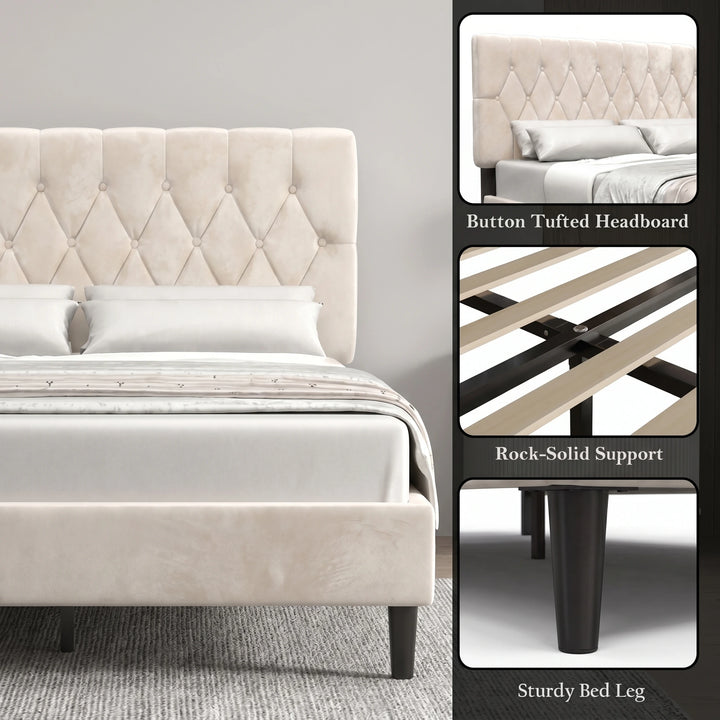 [Double | Beige] Velvet bed feature collage showing button tufted headboard and birch solid support overlay