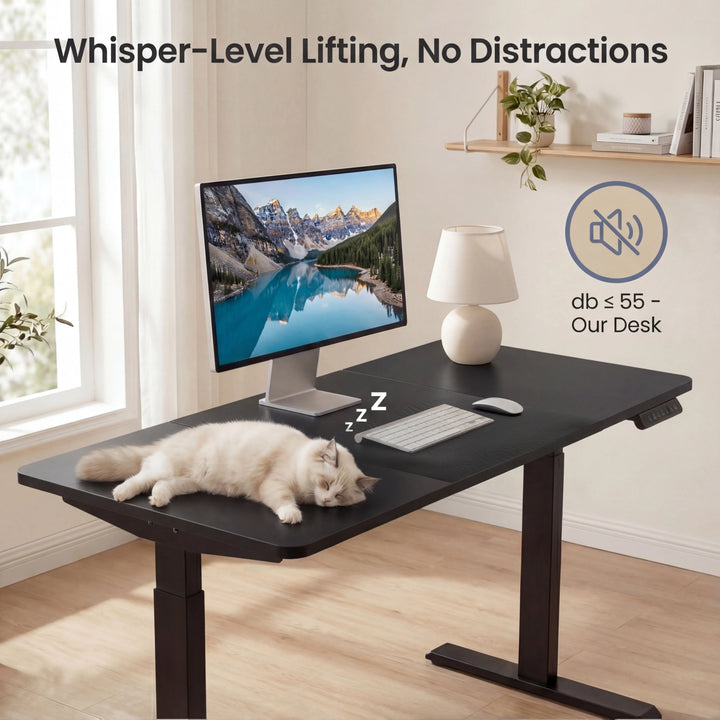 [120cm x 60cm] white cat asleep on 120cm black standing desk near monitor and lamp, sub-55db noise badge top right