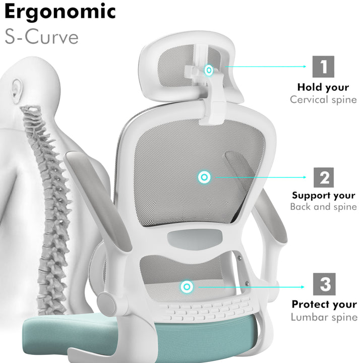 [Tiffany Blue + Grey] S-curve ergonomic mesh office chair with teal seat showing cervical, back, and lumbar spine support. Built for posture and comfort.