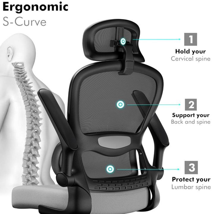 [Grey + Black] S-shaped backrest design on grey and black ergonomic chair offers excellent lumbar support.