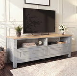 [Grey] Angled view of the Oskara Grey Painted TV Unit styled with a TV, plants, and decorative home accessories.