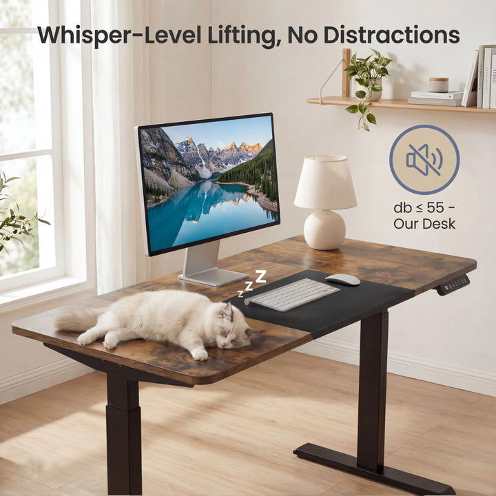 [110cm x 60cm] Rustic adjustable desk with under-55db noise level shown, a cat naps undisturbed on the desk surface