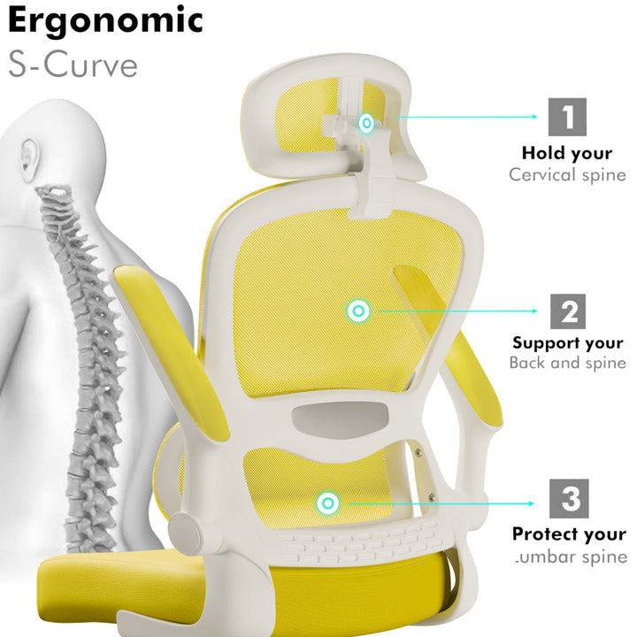 [Yellow] Yellow ergonomic office chair with S-curve backrest for cervical, back, and lumbar spine support. Designed for long hours of desk work.